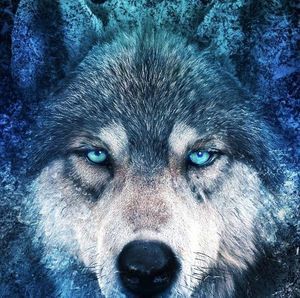 Meet your Posher, Vickie